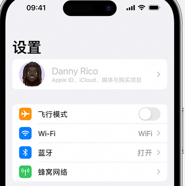 隆德appleID维修服务iPhone设置中Apple ID显示为灰色无法使用 