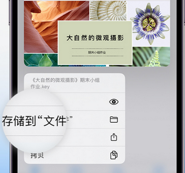 隆德apple维修中心分享iPhone文件应用中存储和找到下载文件