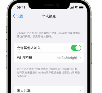 隆德apple服务站点分享iPhone上个人热点丢失了怎么办 