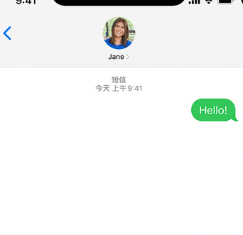 隆德apple维修iPhone上无法正常发送iMessage信息