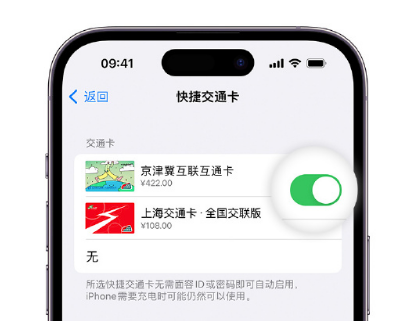 隆德apple维修点分享iPhone上更换Apple Pay快捷交通卡手绘卡面 