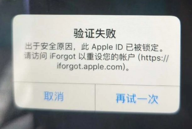 隆德iPhone维修分享iPhone上正常登录或使用AppleID怎么办 