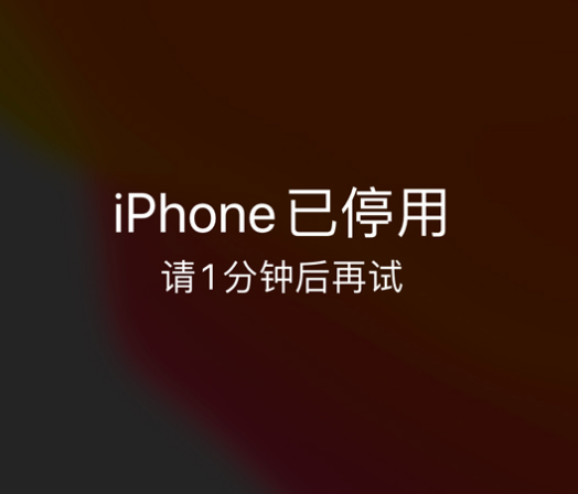 隆德苹果手机维修分享:iPhone 显示“不可用”或“已停用”怎么办？还能保留数据吗？ 