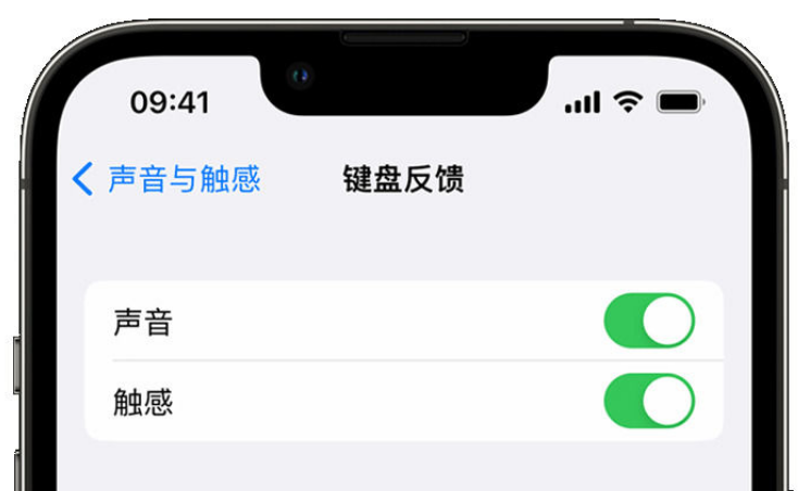 隆德苹果手机维修分享iPhone 14触感键盘使用方法 