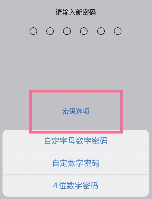 隆德苹果14维修分享iPhone 14plus设置密码的方法 