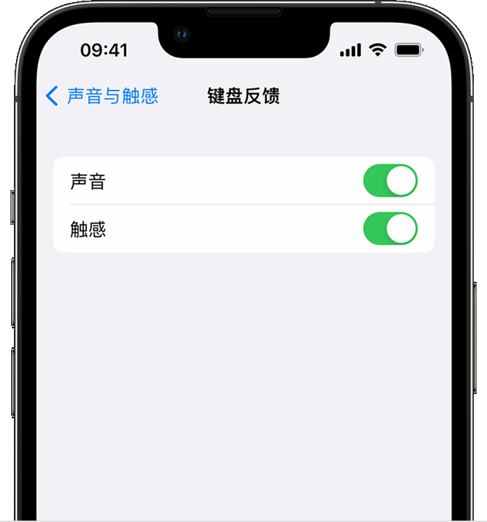 隆德苹果14维修分享iPhone 14 系列机型如何开启键盘声音或触感反馈 