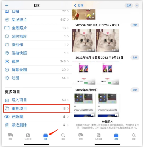 隆德苹果手机维修分享iOS 16 中相册重复项目功能使用方法 