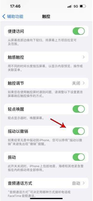 隆德苹果手机维修分享iPhone手机如何设置摇一摇删除文字 