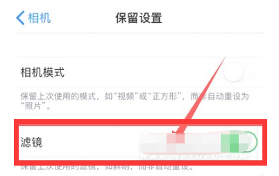 隆德苹果13维修分享iPhone13拍照有绿点是怎么回事 