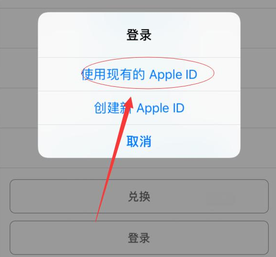 隆德苹果手机维修分享两台iPhone设备可以同时登录一个Apple ID吗 