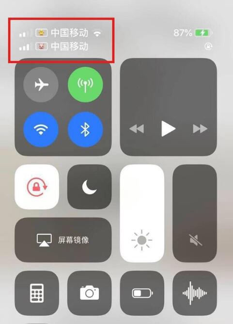 隆德苹果手机维修分享为 iPhone 12 双卡设置标签 